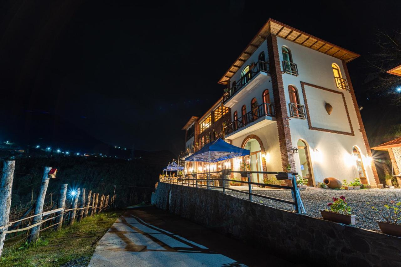 Hotel Chateau Iveri Varjanisi Exteriér fotografie